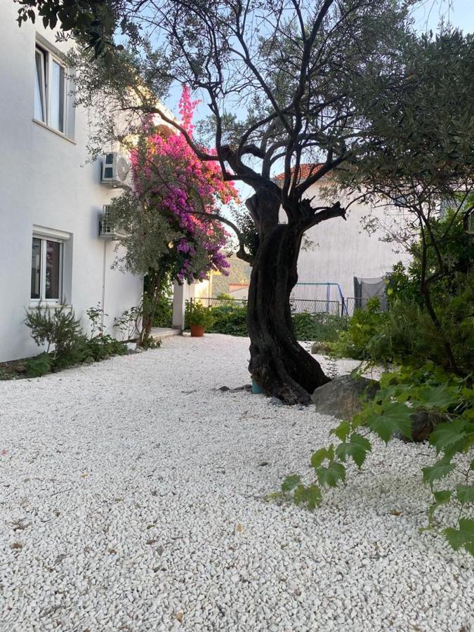 Olive Garden Apartments Poljica  外观 照片